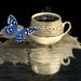 Profile Picture of Adriana Vincenti (@adriana_vincenti) on Pinterest