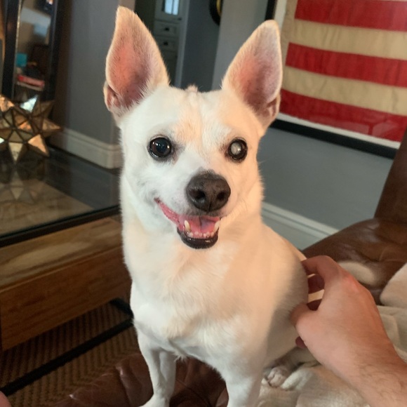 Profile Picture of Nicholas Pegelow (@nmpegelow) on Poshmark