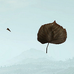 Profile Picture of Calem Micevski (@aviionz) on Flickr