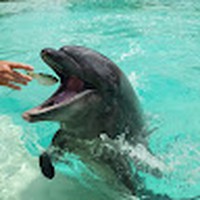 Profile Picture of Lorena Reynoso (@lorena-reynoso-10) on Quora