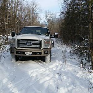 Profile Picture of David Seabrook (@truckerboo) on Twitter