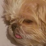 Profile Picture of tyler goldin (@tyler_goldin) on Instagram