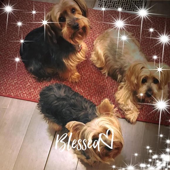 Sandy Gordon- mcgee - Poshmark Profile Picture of Sandy Gordon- mcgee (@baileeanne1234) on Poshmark