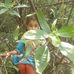 Profile Picture of Tariq Choudary (@tariq.choudary.165) on Facebook