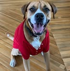 Profile Picture of Adam Griffis (@adam.griffis.94) on Facebook