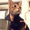 Profile Picture of Tao Lu (@tao.lu.1232) on Facebook