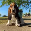 Profile Picture of brettminks (@brettminks) on Tiktok