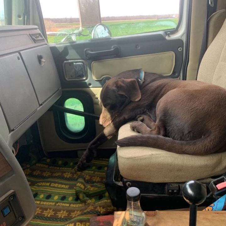 Profile Picture of Donahue (@cdonahue86) on Tiktok