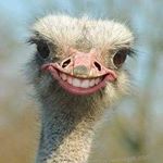 Profile Picture of Aaron Bedford (@bedford8887) on Instagram