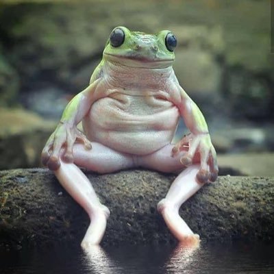 Profile Picture of Peter Barratt (@Peter_Barratt19) on Twitter