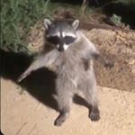 Profile Picture of Alexander Barragan (@mister_.b) on Instagram