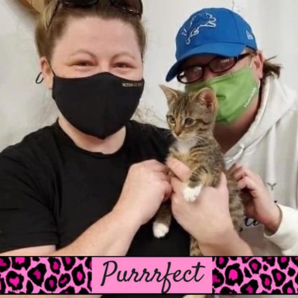 Julie Beaven - Poshmark Profile Picture of Julie Beaven (@sweetjules502) on Poshmark