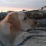 Profile Picture of Anna_Andrén (@andren_anna_07) on Instagram