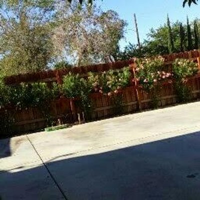 Profile Picture of Ruby Tirado (@soyruby69) on Twitter