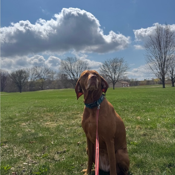 Profile Picture of Ava Haerter (@avahaerter) on Poshmark