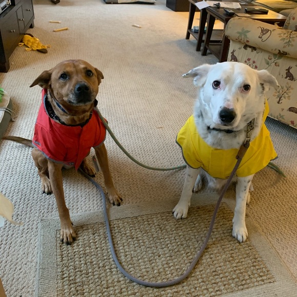 Profile Picture of Connor Outman (@88outman) on Poshmark