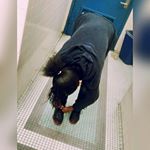 Profile Picture of IBee Shawnakay Scott (@ibbeshawnakaypeart) on Instagram