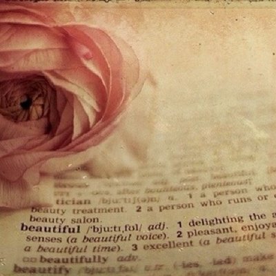 Profile Picture of Amber Nguyen (@Olitz_Forever) on Twitter
