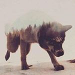 Profile Picture of Kevin Rogge (@kevirog) on Instagram