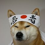 Profile Picture of Nathan Morneau (@nathan._morneau) on Instagram