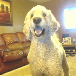 Profile Picture of Jason Tapley (@jasontapjj) on Twitter