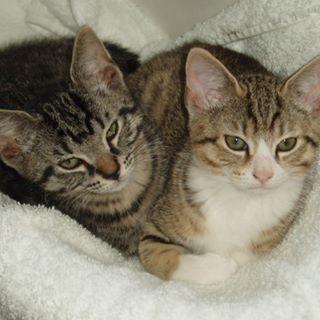 Profile Picture of Lilly Ann Spike (@lillyann.spike) on Facebook