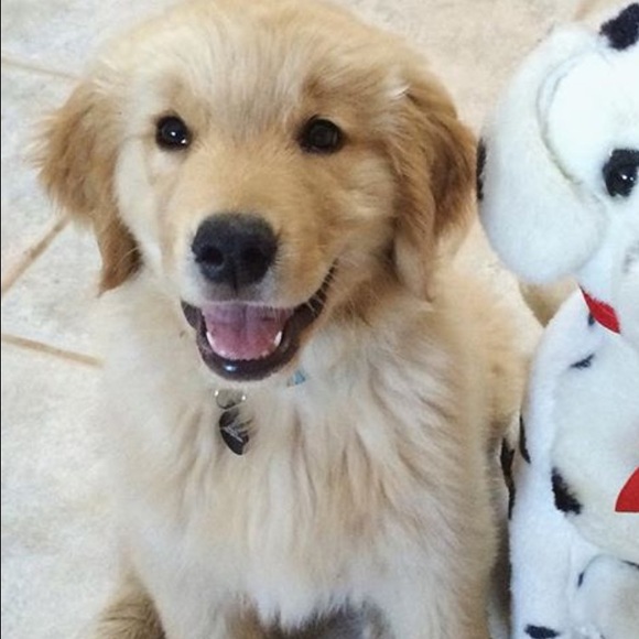 Profile Picture of Macie Adams (@macie28) on Poshmark