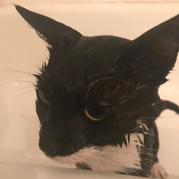 Profile Picture of James Winkler (@jamashwin) on Poshmark