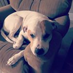 Profile Picture of Philip Perkins (@philsp07) on Instagram