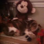 Profile Picture of Dawn Cyr (@dawn.cyr.94) on Facebook