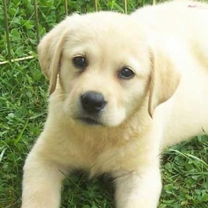 Profile Picture of Stephanie Mcmillin (@stephaniepoo2) on Myspace