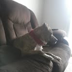 Profile Picture of Sam Shoemaker (@sam.shoemaker.7524) on Facebook