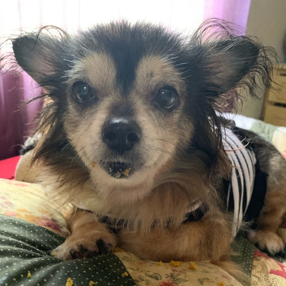 Profile Picture of Lateshia Esau (@lateshiaesau) on Poshmark