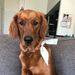 Profile Picture of Alex Clancy (@alexclancy17) on Pinterest