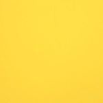 Profile Picture of you are my sunshine (@y.m.s_cake) on Instagram