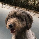 Profile Picture of David Christensen (@davidchristensen2107) on Instagram