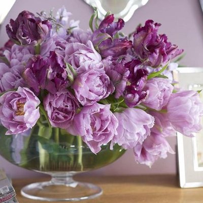 Profile Picture of Lauren.M.Rule (@lmruley) on Twitter