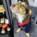 Profile Picture of carlos cervera (@carloscerveracom) on Instagram