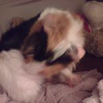 Profile Picture of flicka kimberly hofer (@flickahofer2015) on Instagram