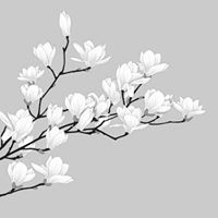 Profile Picture of Katelyn Dalton (@katelyn-dalton-4) on Quora