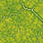 Melissa Ducasse - Flickr Profile Picture of Melissa Ducasse (@sleepyhead81) on Flickr