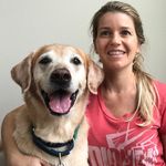 Shelly Haines - Instagram Profile Picture of Shelly Haines (@trainsdogskindly) on Instagram