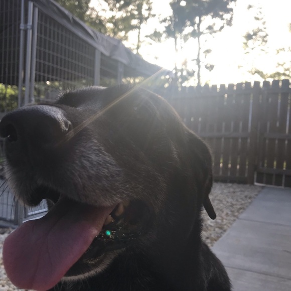 Profile Picture of Alexis Josephson (@amj307) on Poshmark