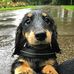 Profile Picture of David Carney (@david.carney.58367) on Facebook