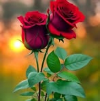 Profile Picture of Amit Nandi (@Amit-Nandi) on Facebook