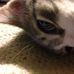 Profile Picture of Jim Dircksen (@jim.dircksen) on Facebook