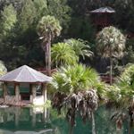 Profile Picture of jason widdick (@bigbannanaboy) on Instagram