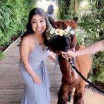 Profile Picture of Stephanie Osorio (@stephreneeosorio) on Instagram