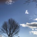 Profile Picture of Ghaleb Daouk (@ghdaouk) on Instagram