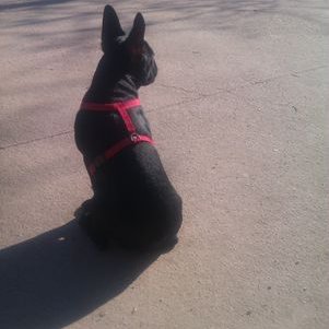 Profile Picture of Emilio Lujan (@emilioluj) on Twitter